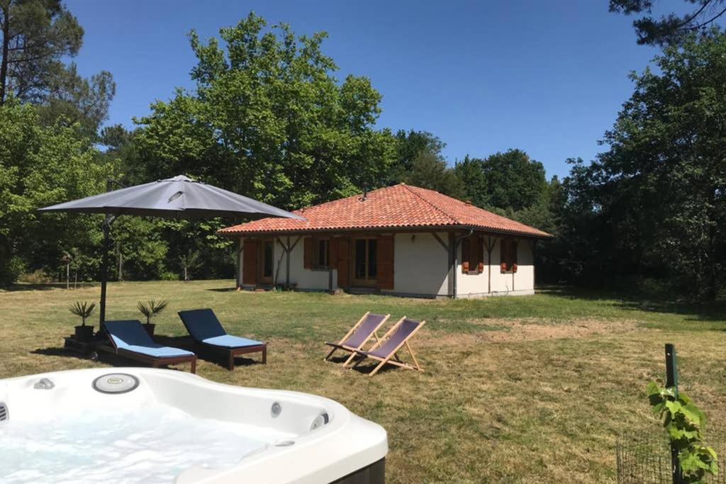 Spa et détente au cœur de la forêt des Landes Luglon Exterior foto