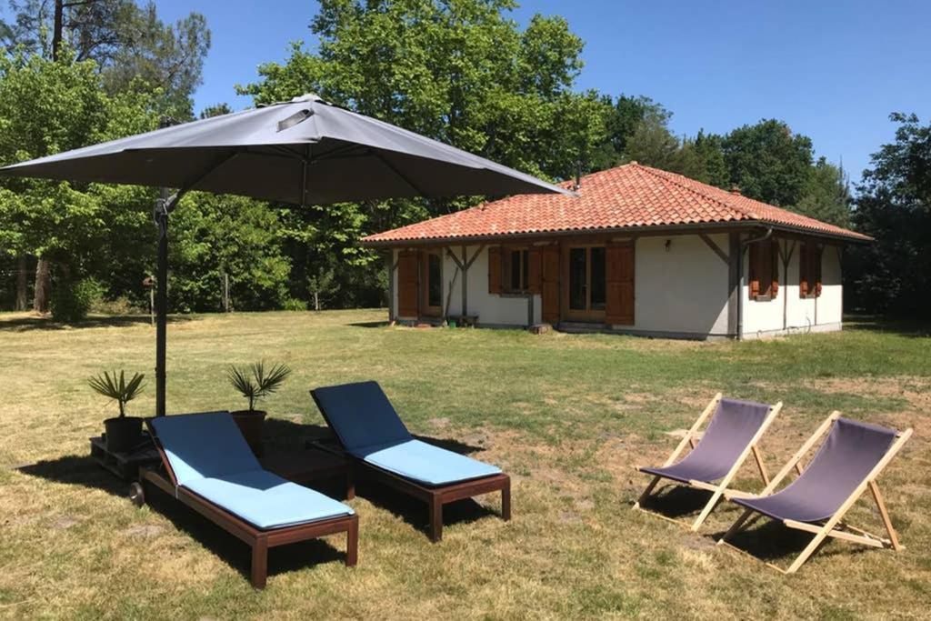 Spa et détente au cœur de la forêt des Landes Luglon Exterior foto