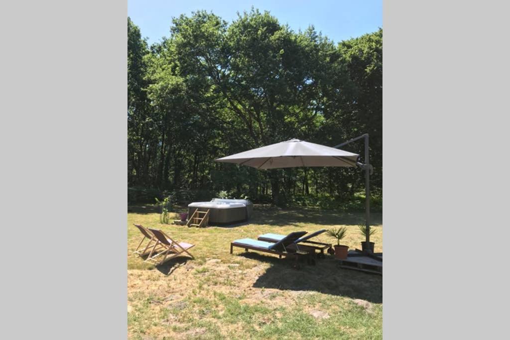 Spa et détente au cœur de la forêt des Landes Luglon Exterior foto