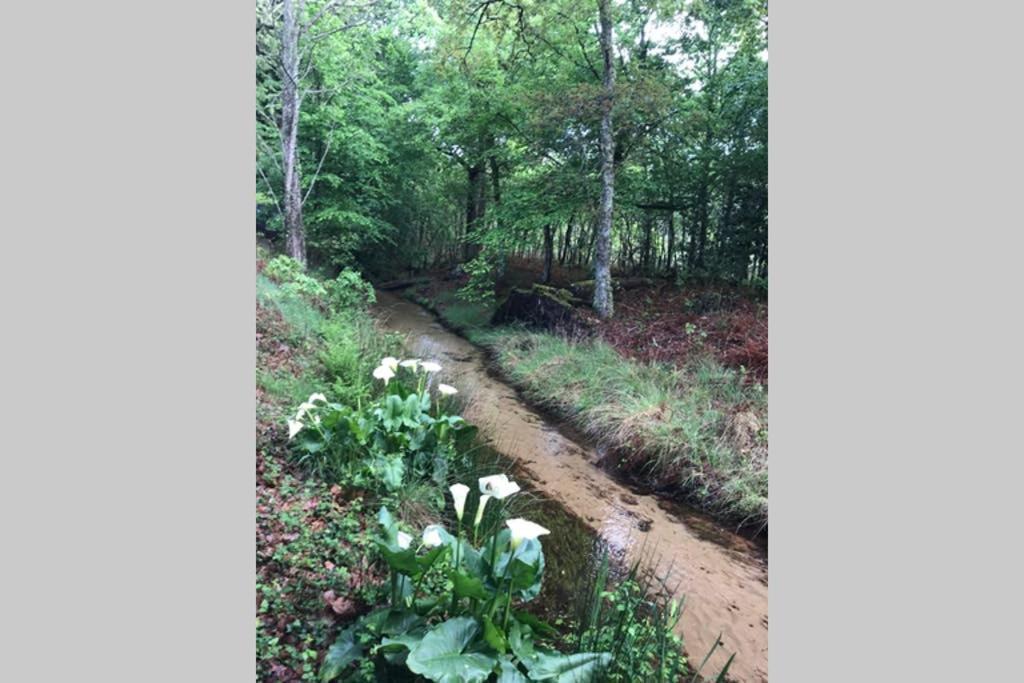 Spa et détente au cœur de la forêt des Landes Luglon Exterior foto