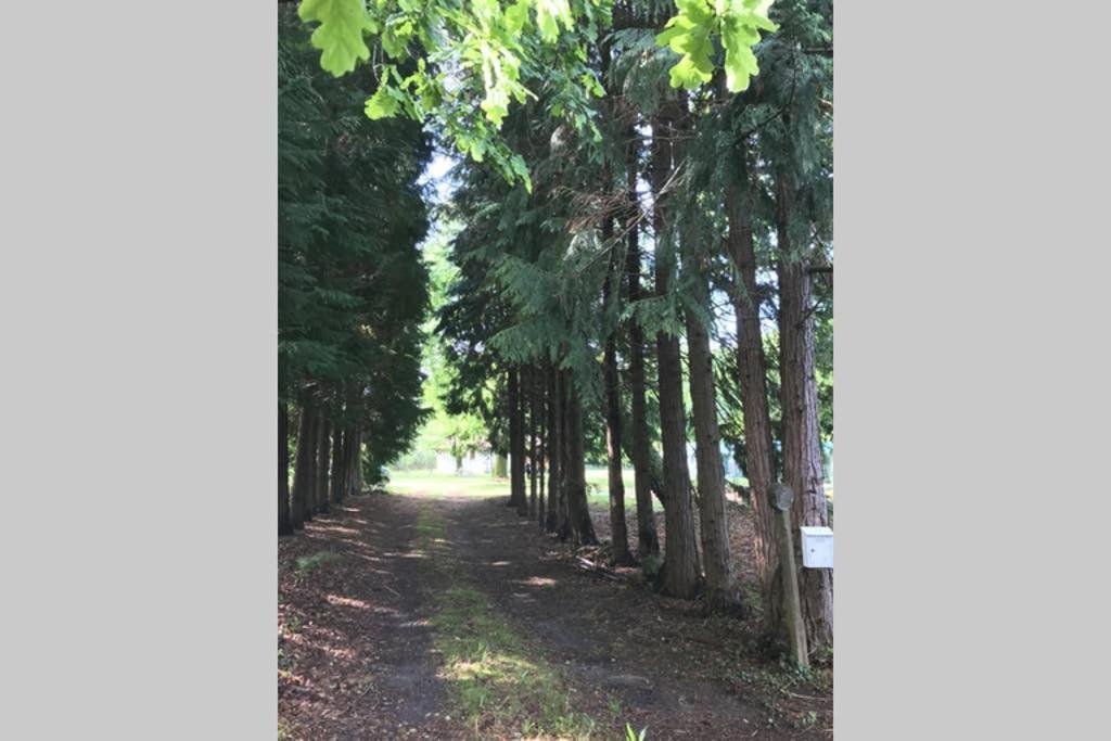 Spa et détente au cœur de la forêt des Landes Luglon Exterior foto