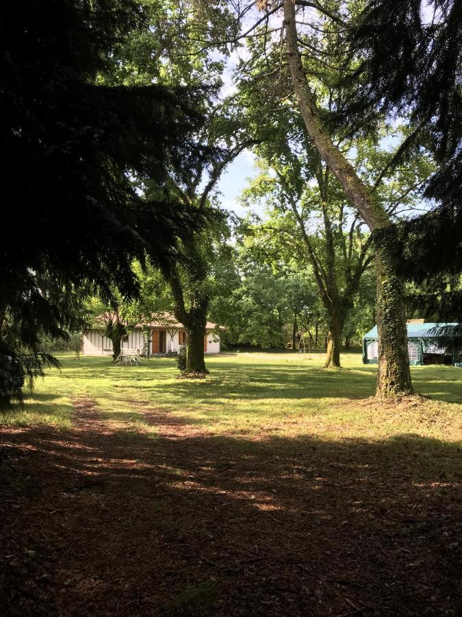 Spa et détente au cœur de la forêt des Landes Luglon Exterior foto